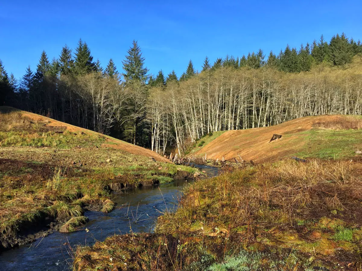 Fawcett Creek, SE of the City of Tillamook, and a source of drinking water for the people. RDG photo