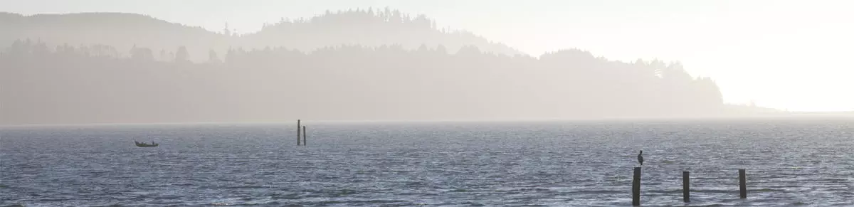 Bay shot